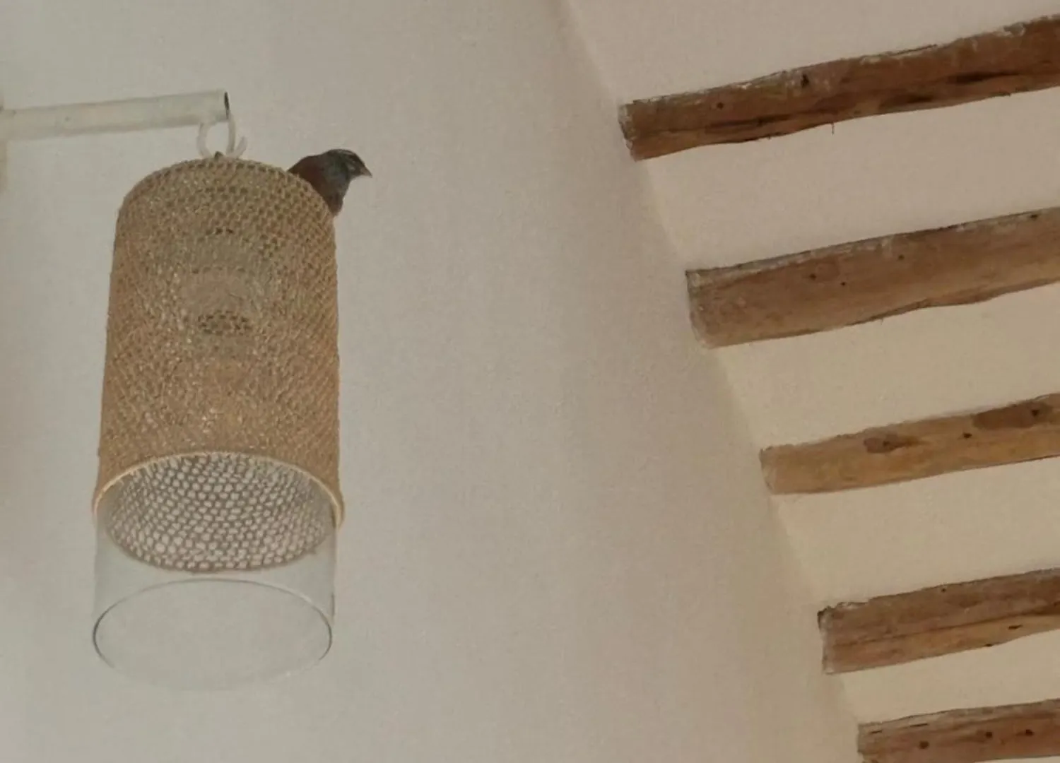 Neroli Le Riad, Idealement Situe Marrakesh
